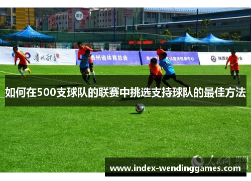 如何在500支球队的联赛中挑选支持球队的最佳方法