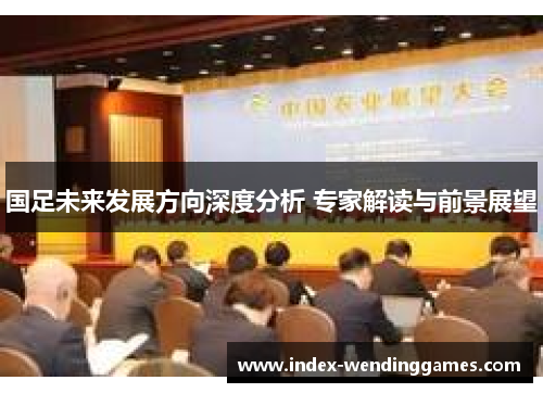 国足未来发展方向深度分析 专家解读与前景展望