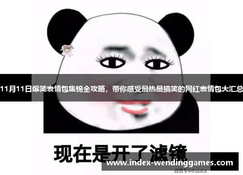 11月11日爆笑表情包集锦全攻略，带你感受最热最搞笑的网红表情包大汇总