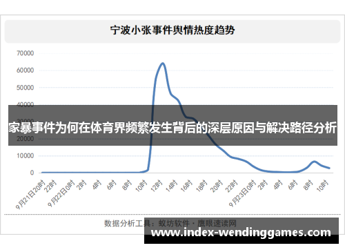 家暴事件为何在体育界频繁发生背后的深层原因与解决路径分析