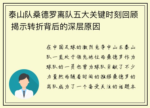 泰山队桑德罗离队五大关键时刻回顾 揭示转折背后的深层原因