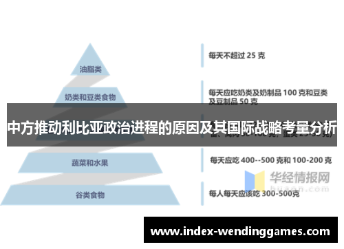 中方推动利比亚政治进程的原因及其国际战略考量分析