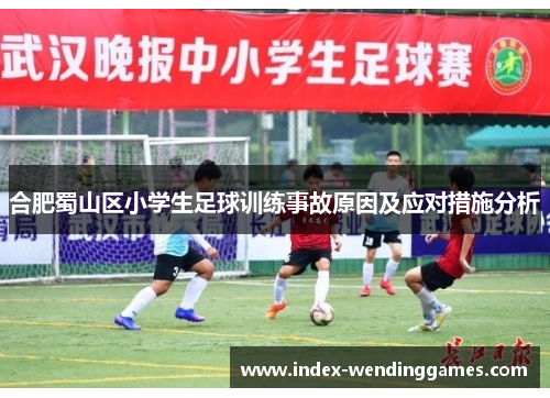 合肥蜀山区小学生足球训练事故原因及应对措施分析