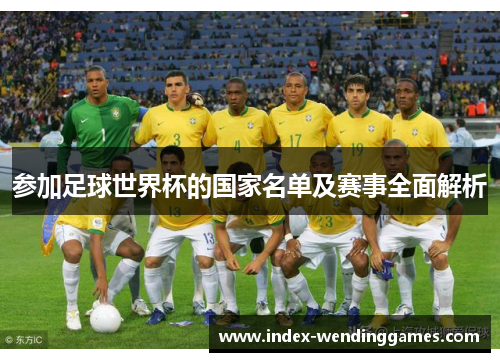 参加足球世界杯的国家名单及赛事全面解析