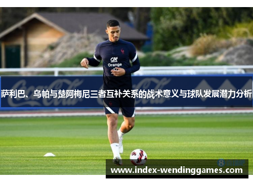 萨利巴、乌帕与楚阿梅尼三者互补关系的战术意义与球队发展潜力分析