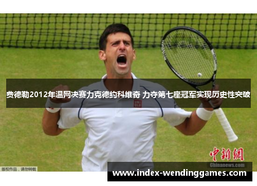 费德勒2012年温网决赛力克德约科维奇 力夺第七座冠军实现历史性突破 费德勒2012年温网决赛力克德约科维奇 力夺第七座冠军实现历史性突破