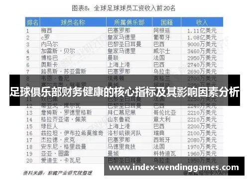 足球俱乐部财务健康的核心指标及其影响因素分析 足球俱乐部财务健康的核心指标及其影响因素分析