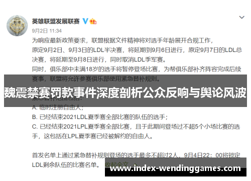 魏震禁赛罚款事件深度剖析公众反响与舆论风波