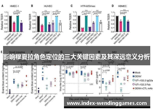 影响穆夏拉角色定位的三大关键因素及其深远意义分析