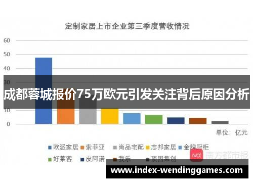成都蓉城报价75万欧元引发关注背后原因分析
