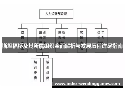 斯坦福桥及其所属组织全面解析与发展历程详尽指南
