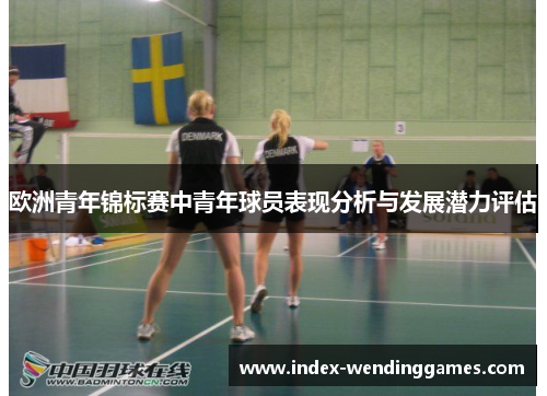 欧洲青年锦标赛中青年球员表现分析与发展潜力评估