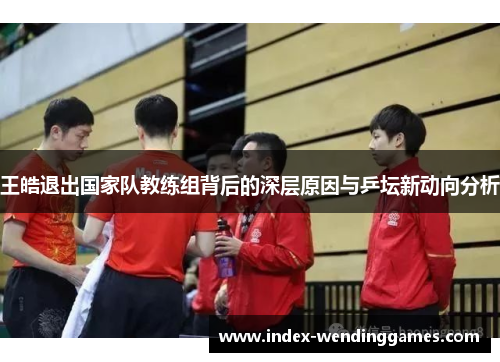 王皓退出国家队教练组背后的深层原因与乒坛新动向分析